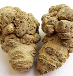 Giá sản phẩm Nano Curcumin bao nhiêu là chuẩn?