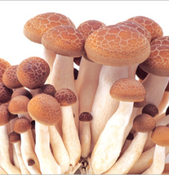 Giới trẻ và vấn đề bảo vệ sức khỏe