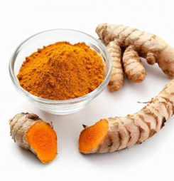 Trị bệnh lý dạ dày bằng thuốc nano curcumin của học viện quân Y