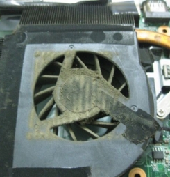 Nguyên nhân và cách khắc phục lỗi laptop cũ kêu re re
